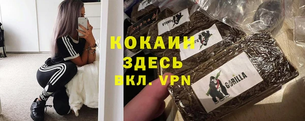 винт Алзамай